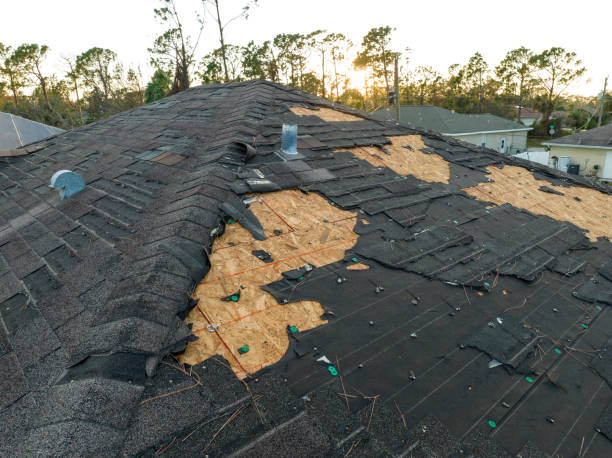 Best Green or Eco-Friendly Roofing Solutions  in Grosse Pointe Woods, MI