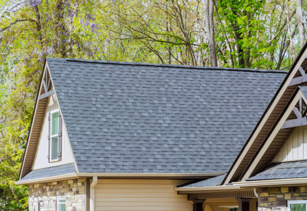 Best Roof Maintenance and Cleaning  in Grosse Pointe Woods, MI